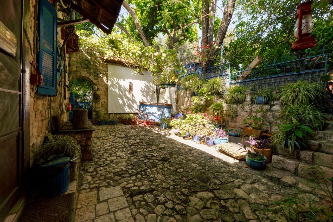 Villa Tehila - By V Club Chain Рош-Пинна Экстерьер фото